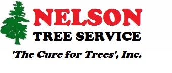 Nelson Tree Care